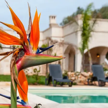 Prázdninový dům Holiday Magnolia Ostuni