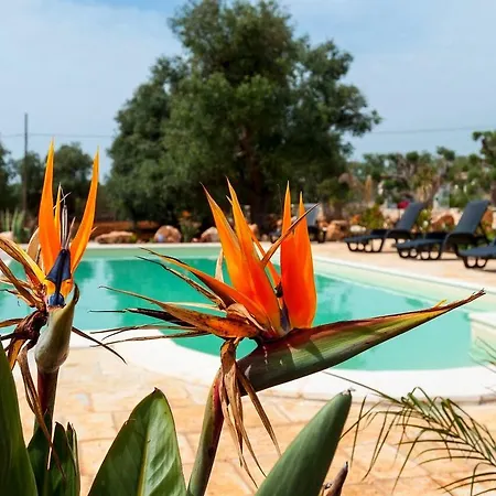Prázdninový dům Holiday Magnolia Ostuni